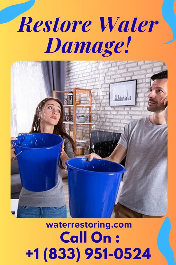 water restoration Superior Flood Damage Specialists Dover Beaches North