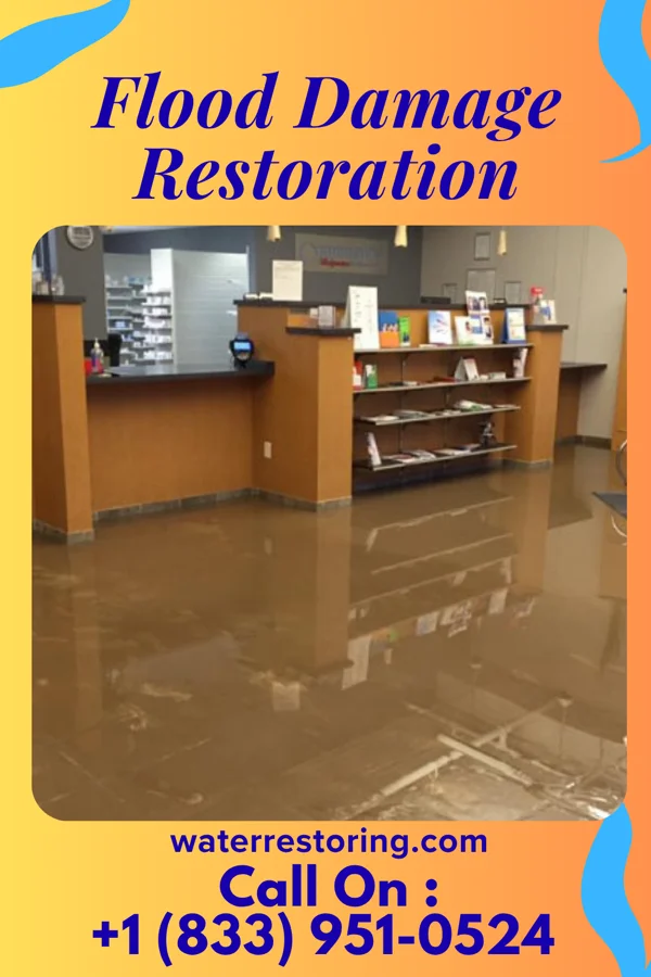 Flood Damage Restoration in Dover Beaches North, NJ