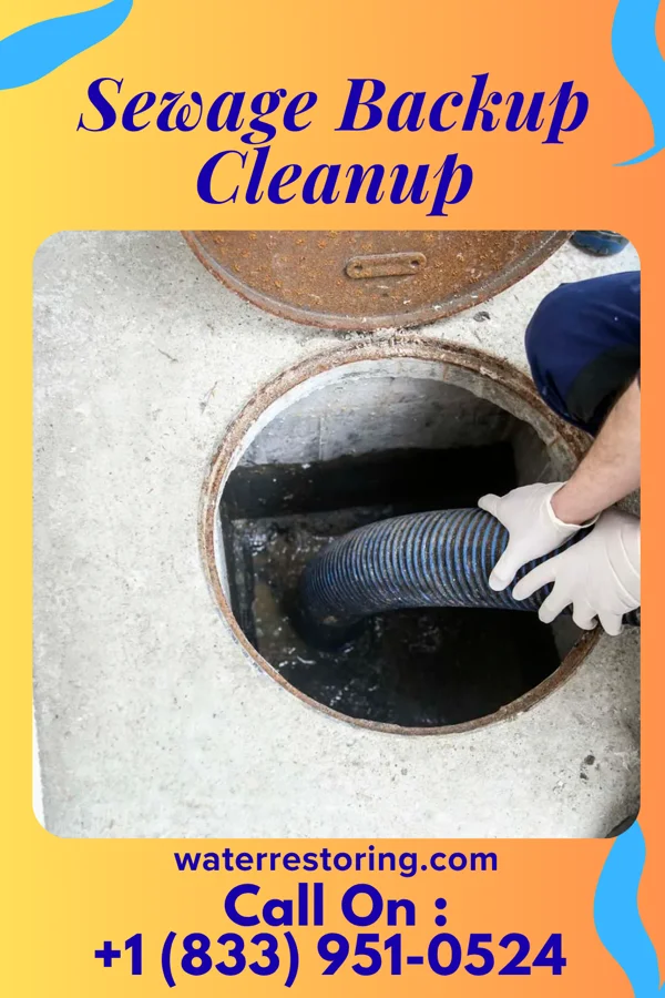Sewage Backup Cleanup in Dover Beaches North, NJ