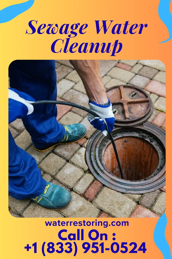 Sewage Water Cleanup in Dover Beaches North, NJ