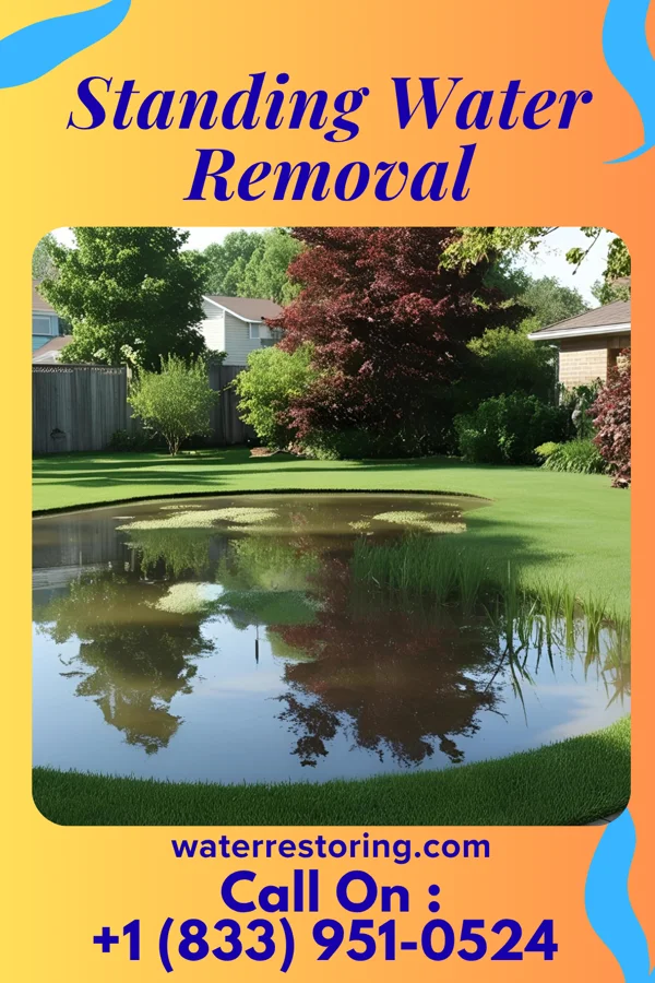 Standing Water Removal in Dover Beaches North, NJ
